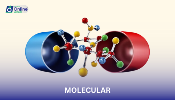 Lesson 08: Empirical Formula vs. Molecular Formula